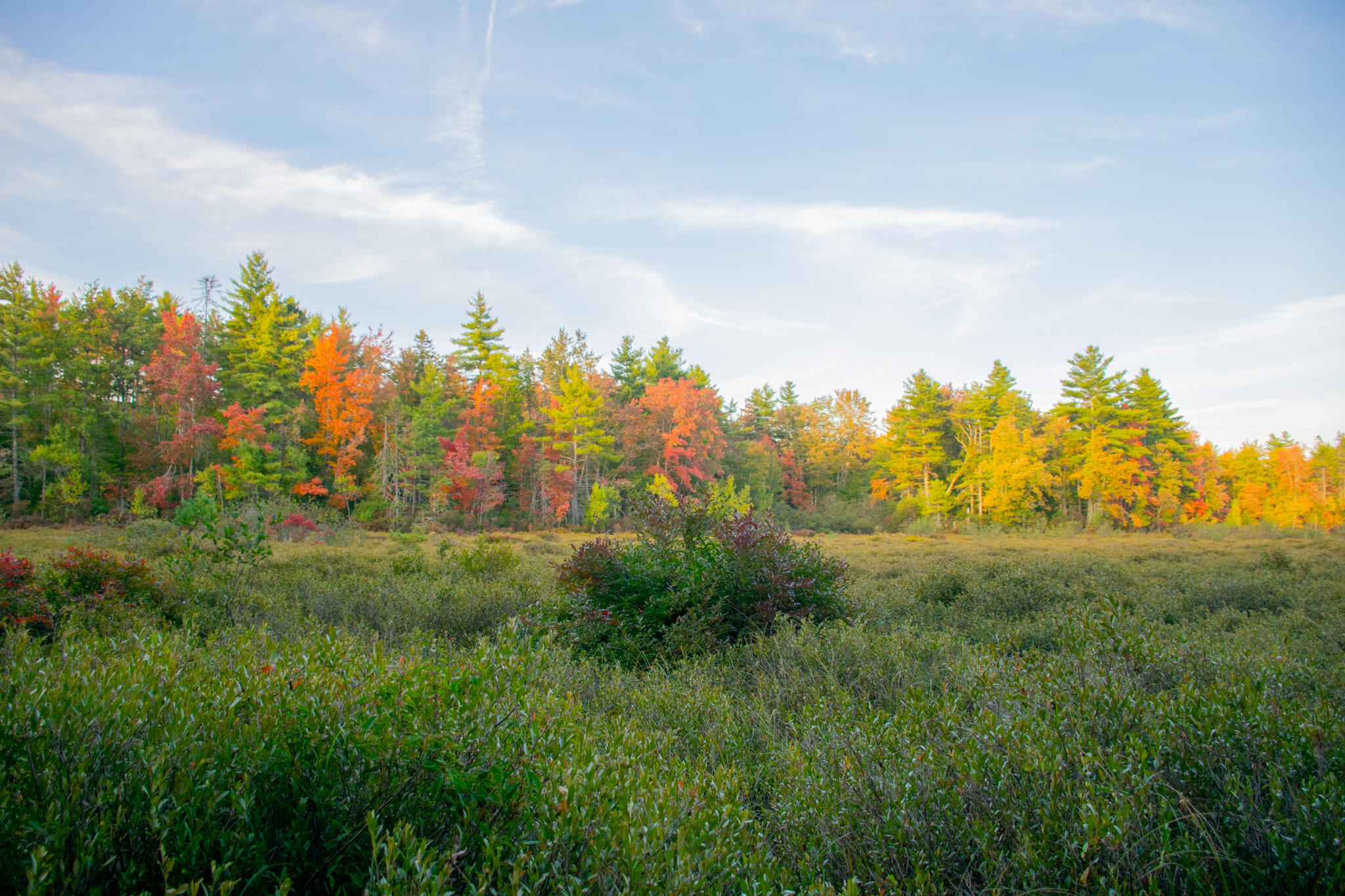 Tbd New Dam Road North Waterboro, ME 04061 - Photo 23 of 24