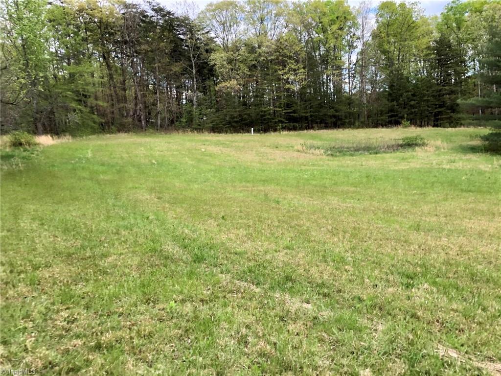 2 George Chandler Road Mount Airy, NC 27030 - Photo 6 of 22 Gallery Image 6