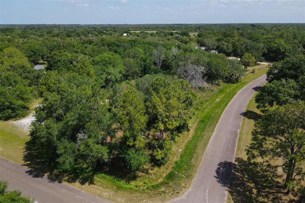 1729 Shenandoah Road Wimauma, FL 33598 - Photo 4 of 22
