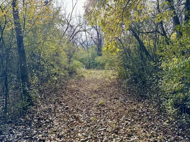 $350,000 | Parcel 004-003 State Rt 25 Road, Oswego, IL 60543