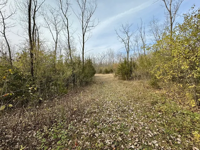 $350,000 | Parcel 004-003 State Rt 25 Road, Oswego, IL 60543