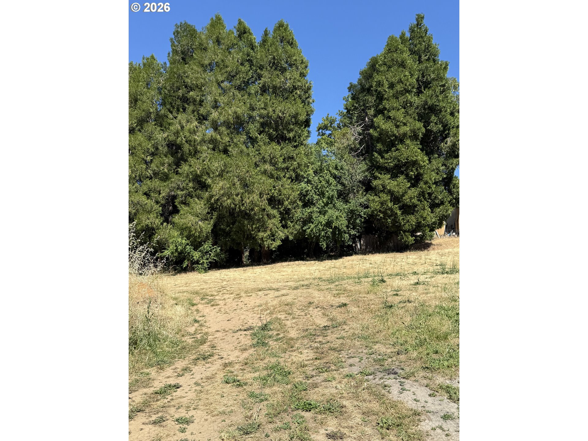 150 Southwest Brantley Drive Winston, OR 97496 - Photo 13 of 16 Backyard