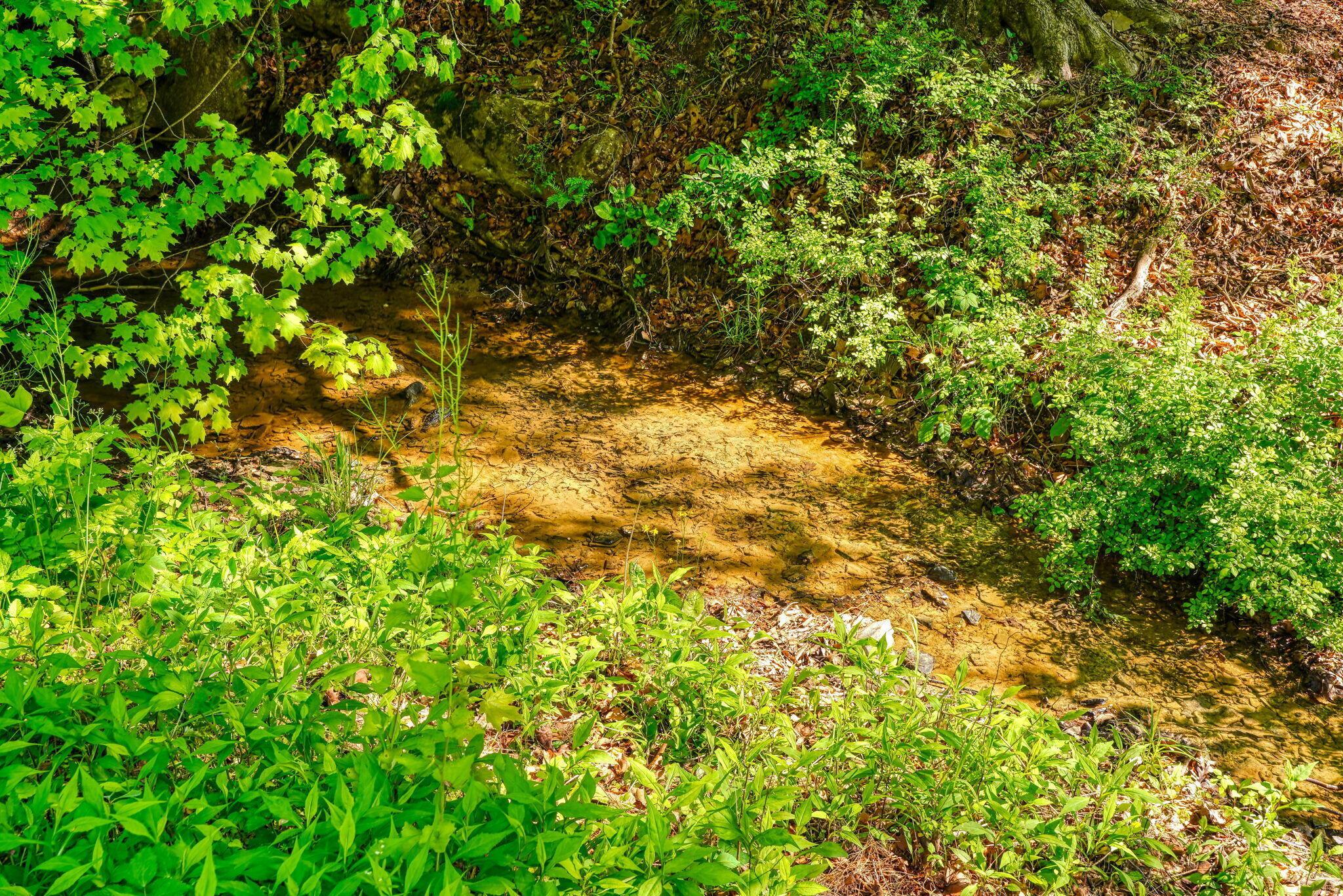 31740 Huston Road Logan, OH 43138 - Photo 75 of 75 Hillside Hideaway (16)