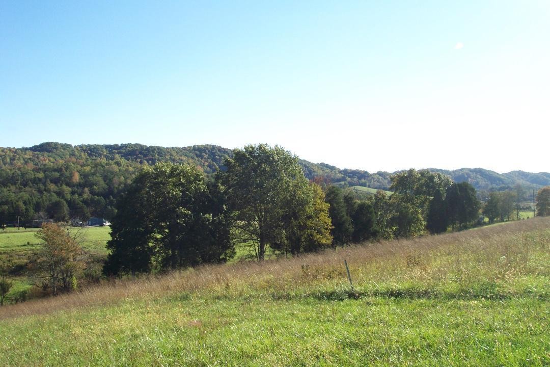 0 Cox Road Maynardville, TN 37807 - Photo 7 of 7 Gallery Image 7