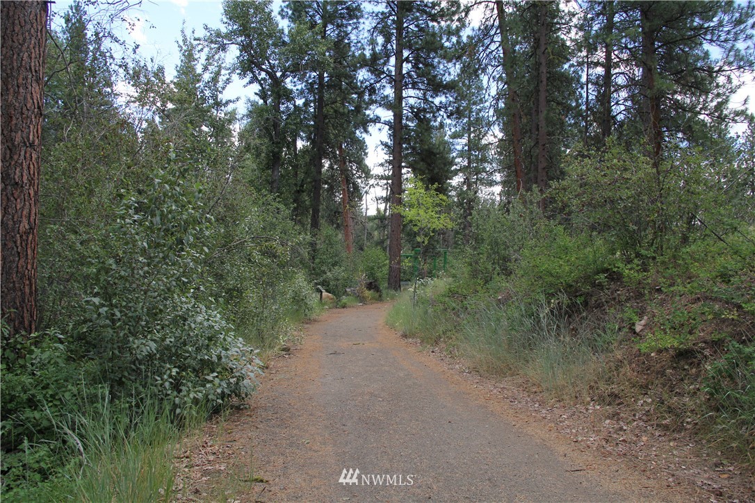 8 Riffle Loop Winthrop, WA 98862 - Photo 17 of 18 Gallery Image 17