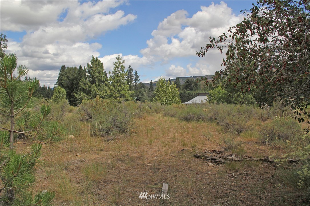 8 Riffle Loop Winthrop, WA 98862 - Photo 4 of 18 Gallery Image 4