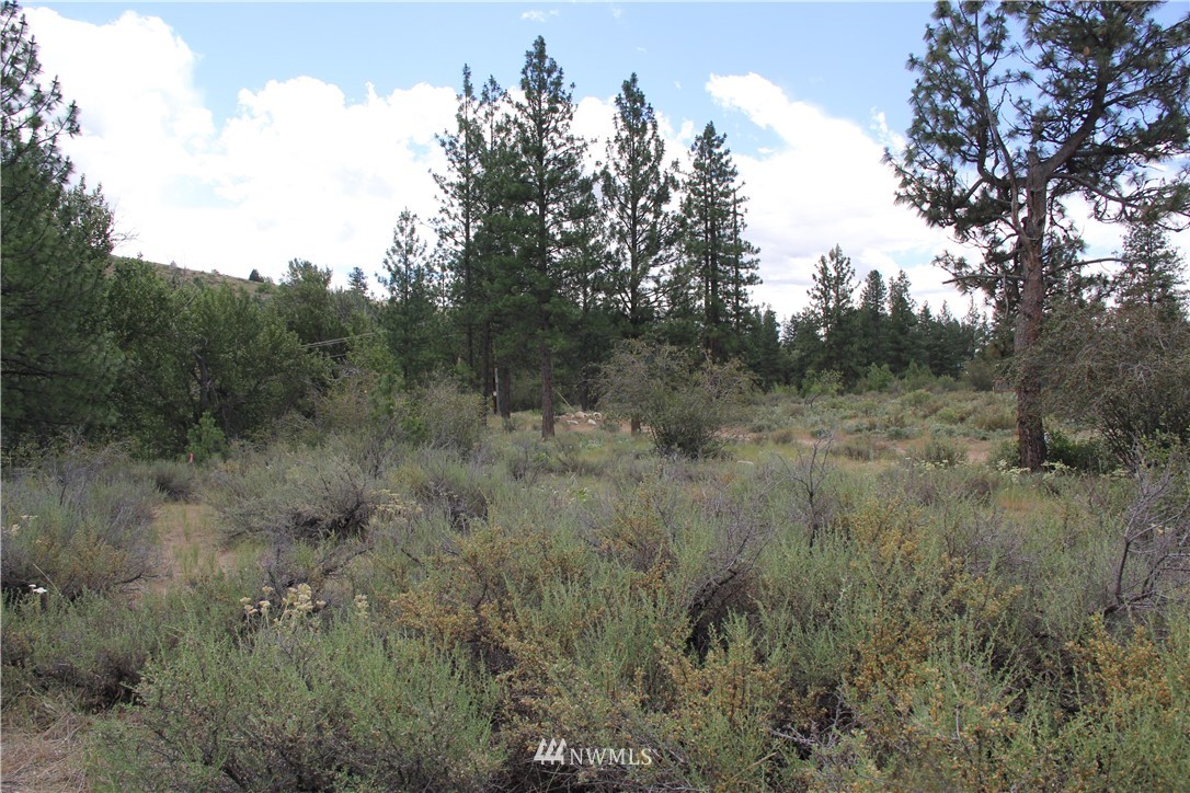 8 Riffle Loop Winthrop, WA 98862 - Photo 10 of 18 Gallery Image 10