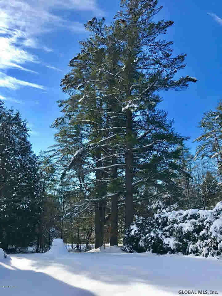 1176 Friends Lake Road Chester, NY 12817 - Photo 12 of 47 Photo 12