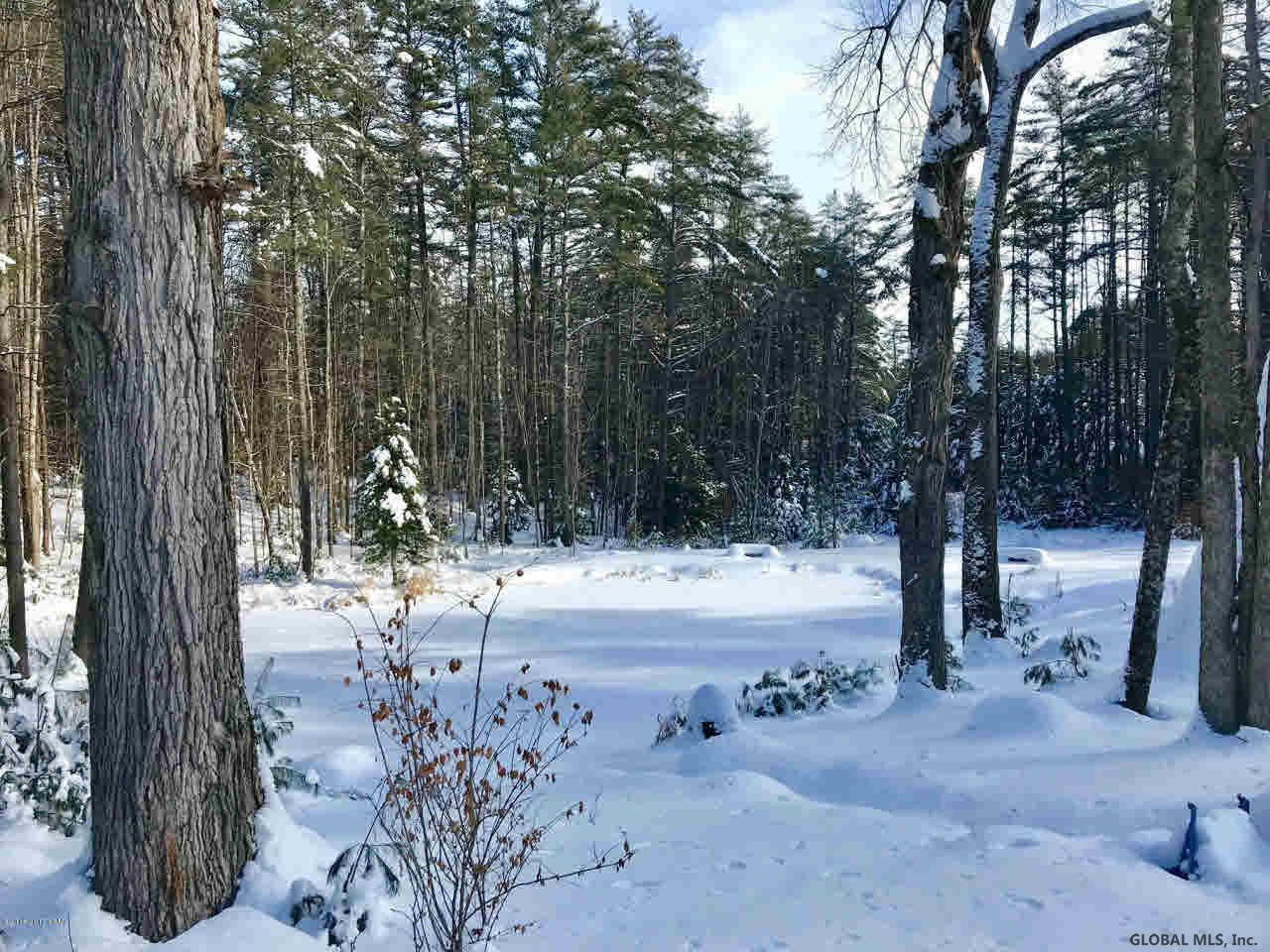 1176 Friends Lake Road Chester, NY 12817 - Photo 10 of 47 Photo 10