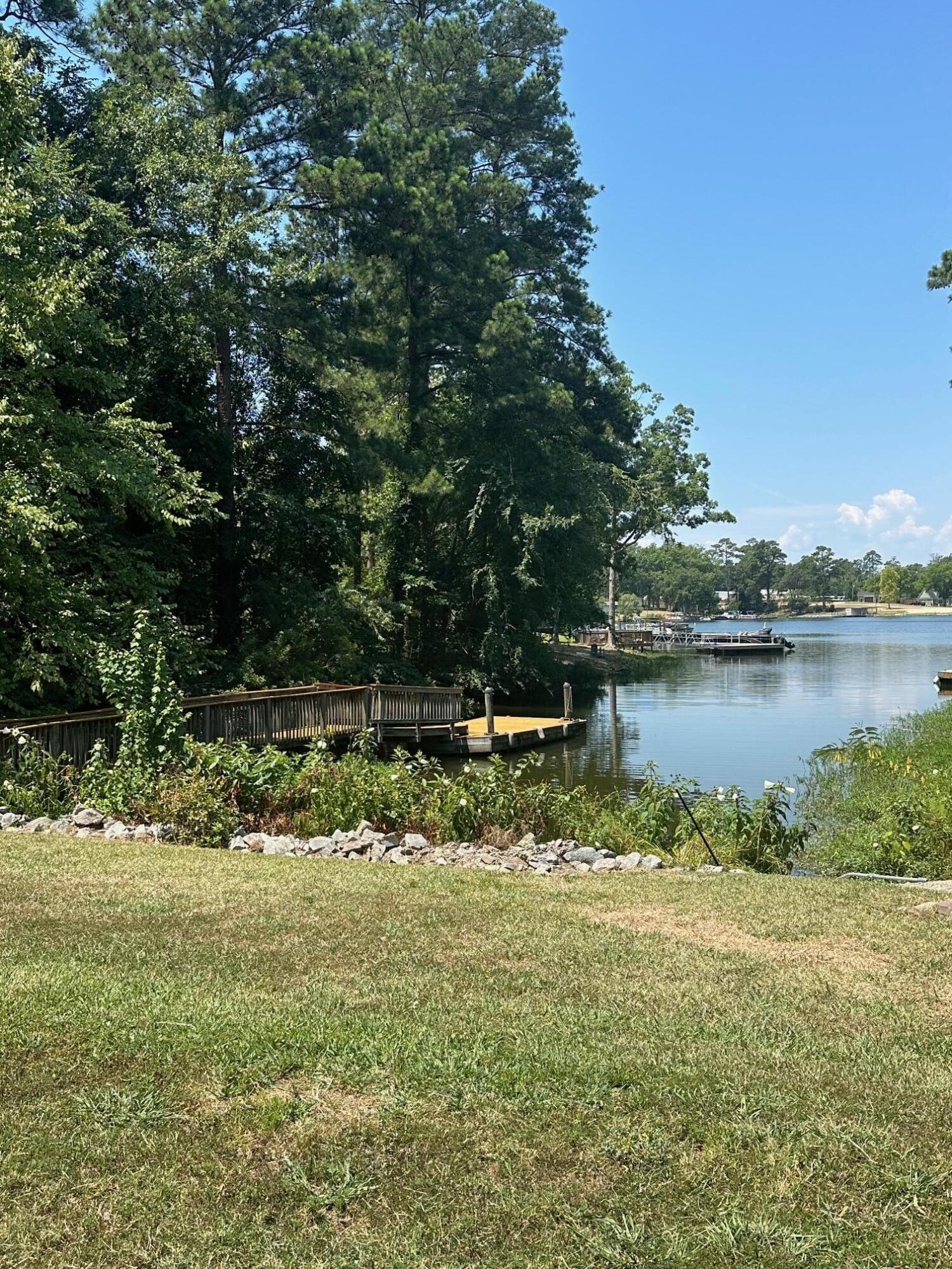 520 South Point Drive Gilbert, SC 29054 - Photo 44 of 118