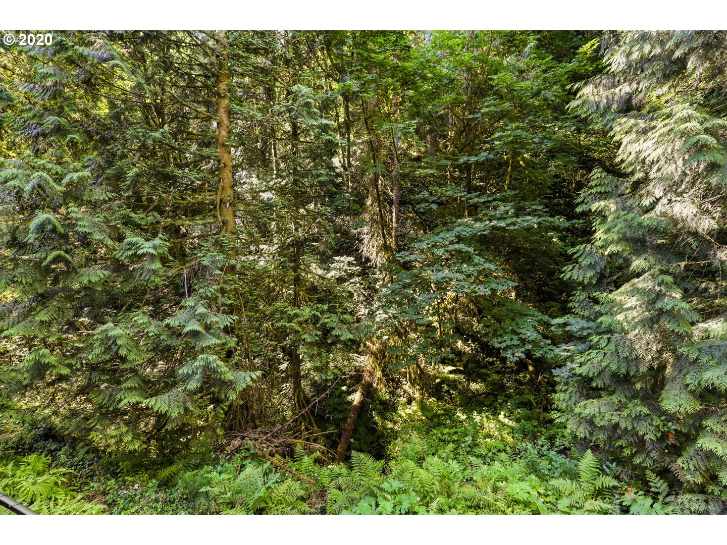 6400 Northwest Cornell Road Portland, OR 97210 - Photo 27 of 32