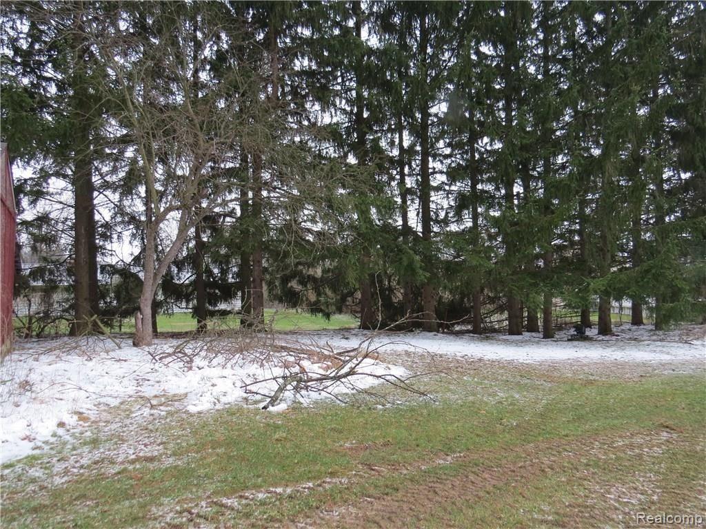 9820 North Territorial Road Dexter, MI 48130 - Photo 10 of 15 10-IMG_3250.JPG