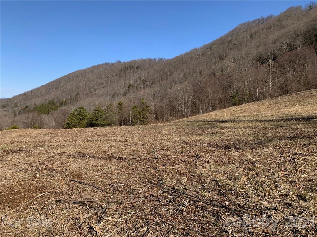 106 View Ridge Parkway Leicester, NC 28748 - Photo 2 of 27 Gallery Image 2
