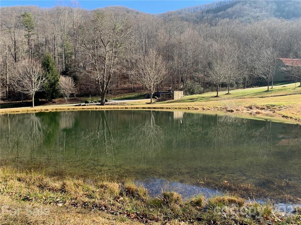 106 View Ridge Parkway Leicester, NC 28748 - Photo 11 of 27 Gallery Image 11