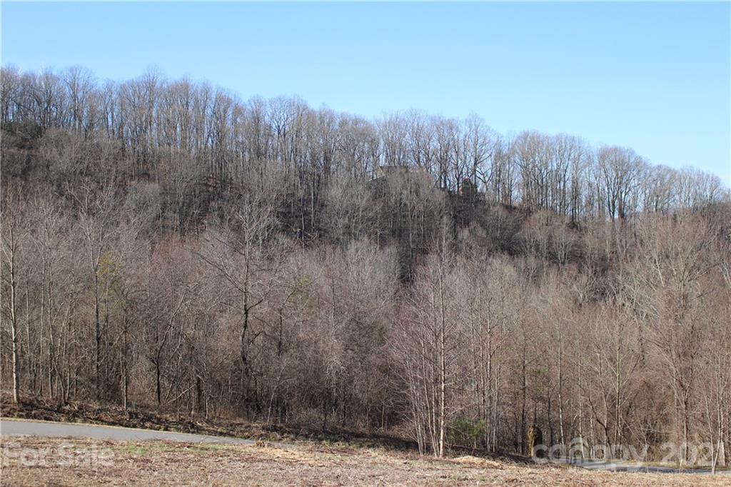 106 View Ridge Parkway Leicester, NC 28748 - Photo 16 of 27 Gallery Image 16
