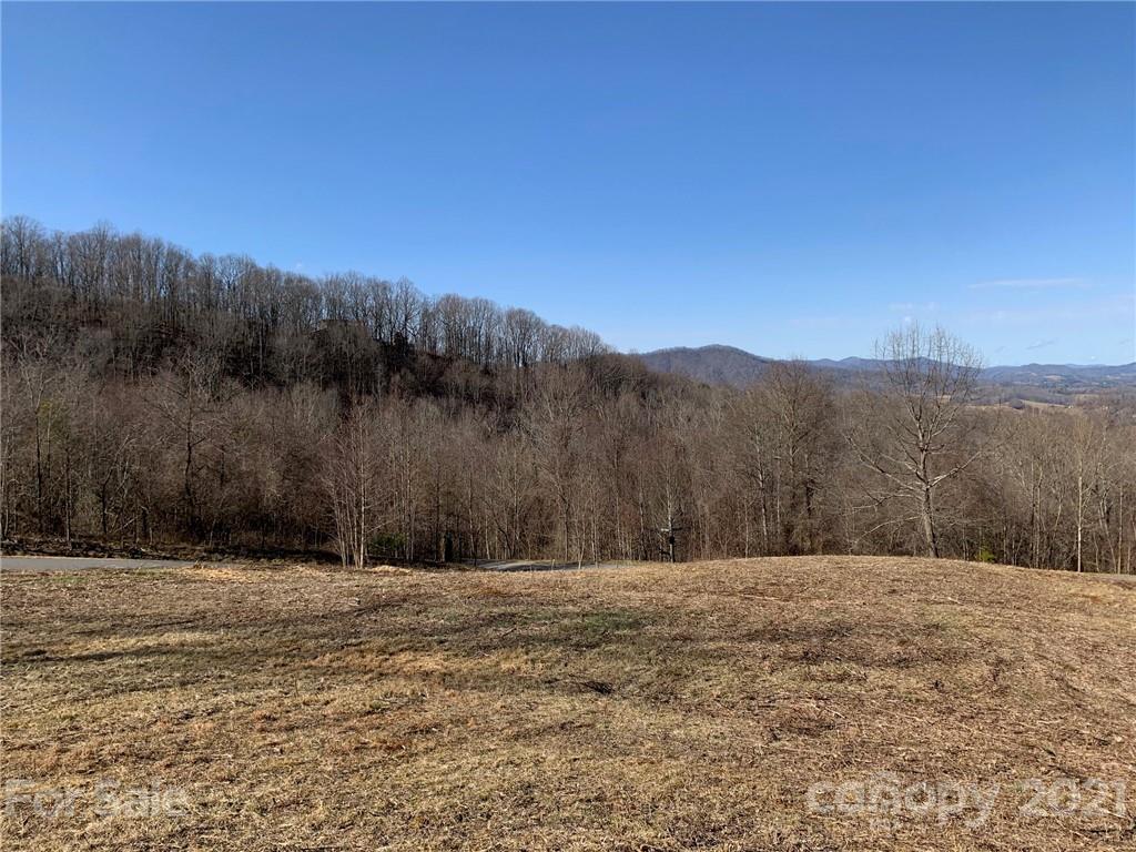 106 View Ridge Parkway Leicester, NC 28748 - Photo 17 of 27 Gallery Image 17