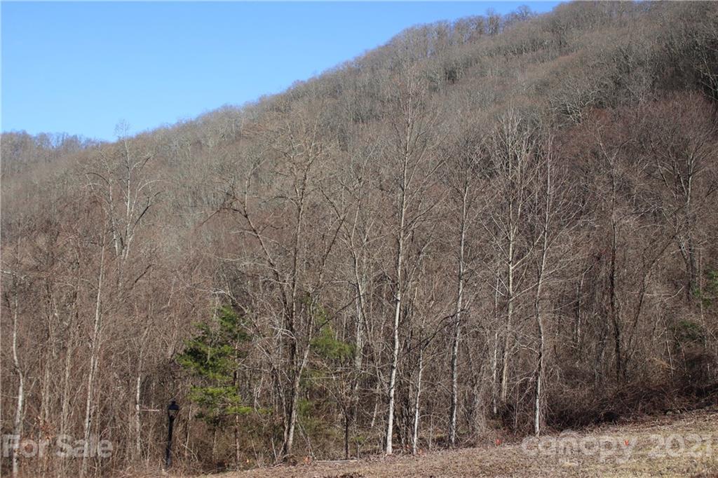 106 View Ridge Parkway Leicester, NC 28748 - Photo 19 of 27 Gallery Image 19
