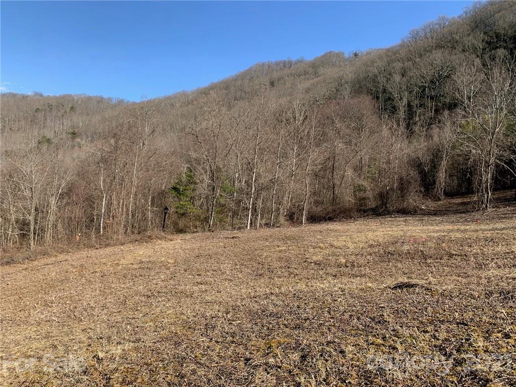 106 View Ridge Parkway Leicester, NC 28748 - Photo 20 of 27 Gallery Image 20