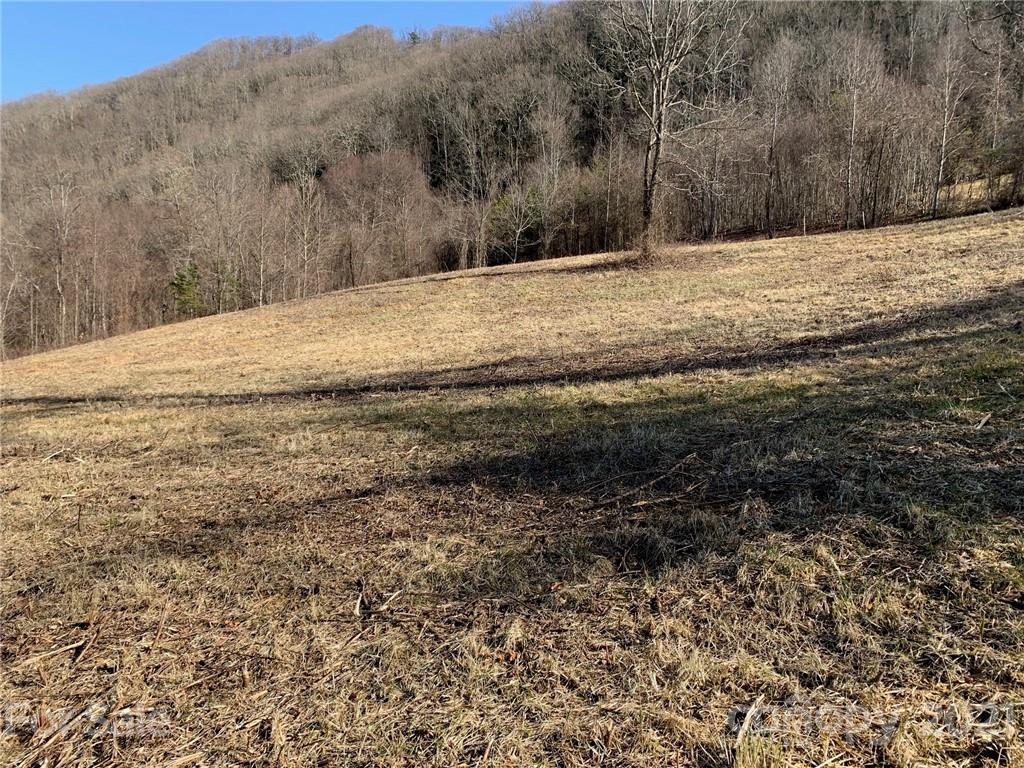106 View Ridge Parkway Leicester, NC 28748 - Photo 21 of 27 Gallery Image 21