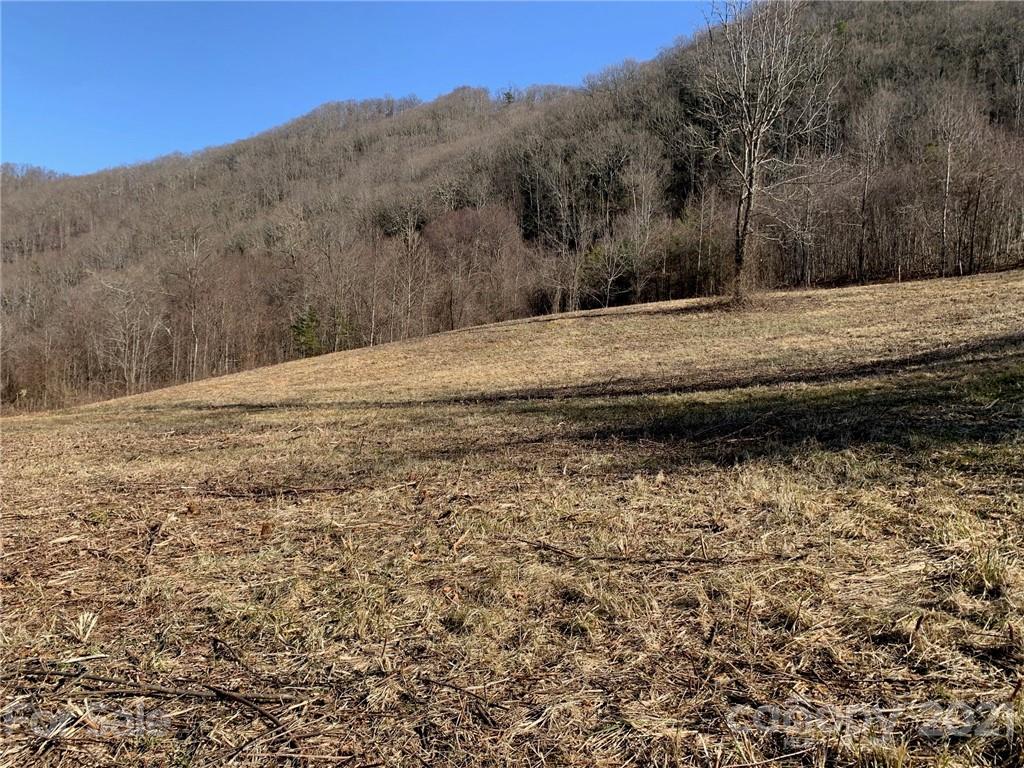 106 View Ridge Parkway Leicester, NC 28748 - Photo 22 of 27 Gallery Image 22