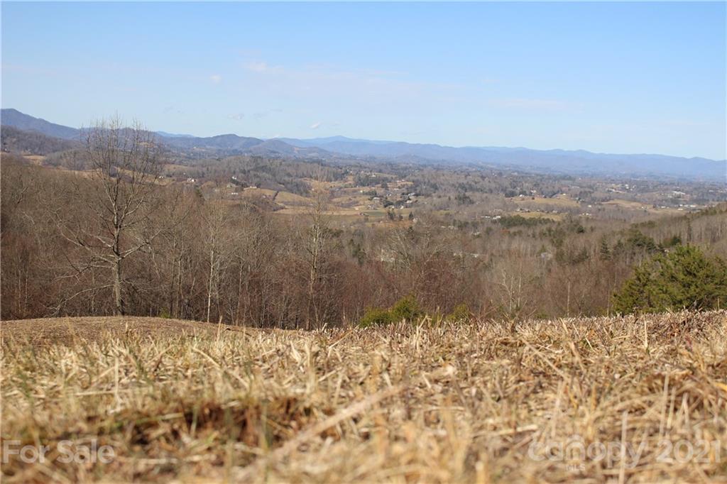 106 View Ridge Parkway Leicester, NC 28748 - Photo 26 of 27 Gallery Image 26