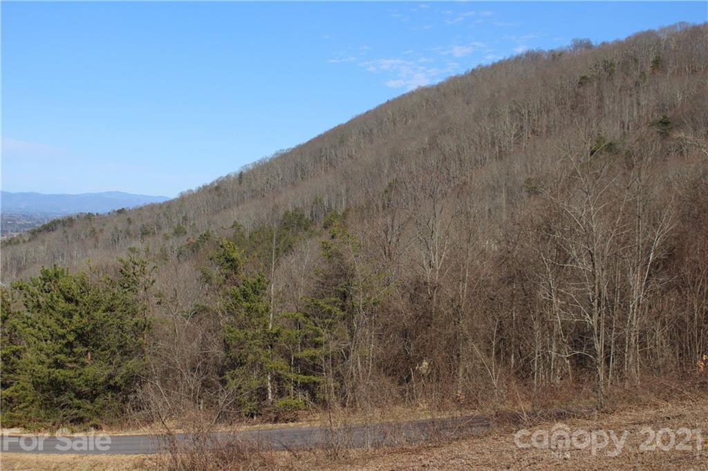106 View Ridge Parkway Leicester, NC 28748 - Photo 5 of 27 Gallery Image 5