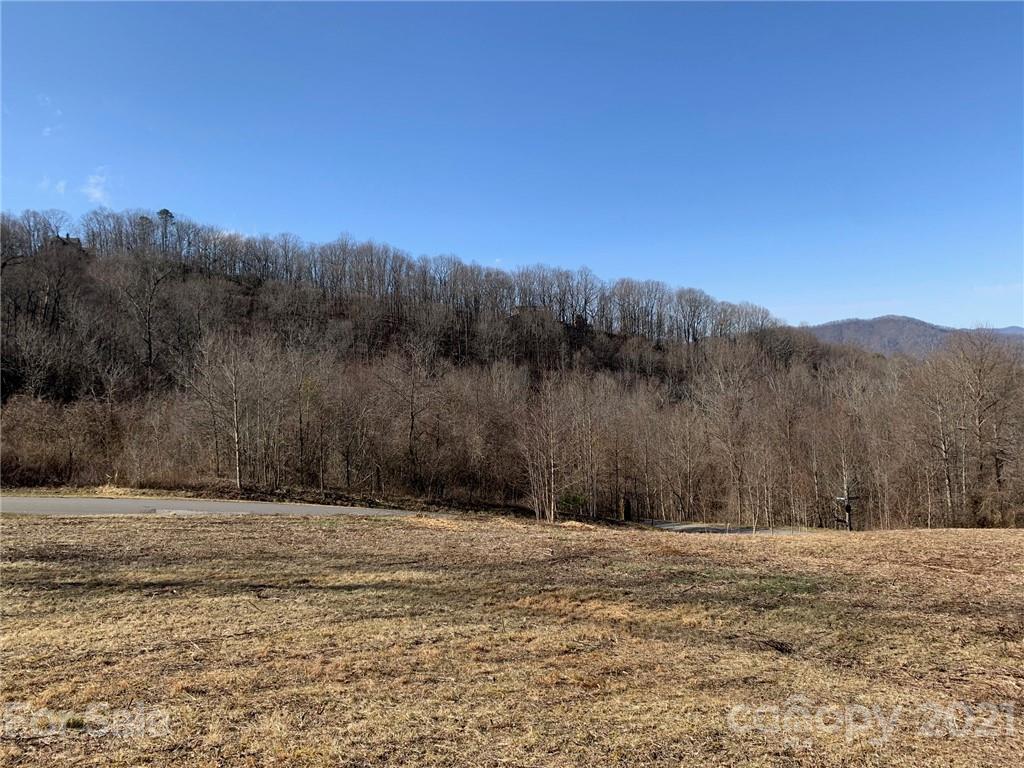 106 View Ridge Parkway Leicester, NC 28748 - Photo 6 of 27 Gallery Image 6