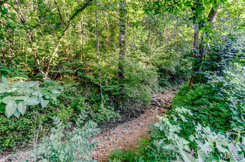 575 Schleeper Hollow Road Hardin, IL 62047 - Photo 34 of 61