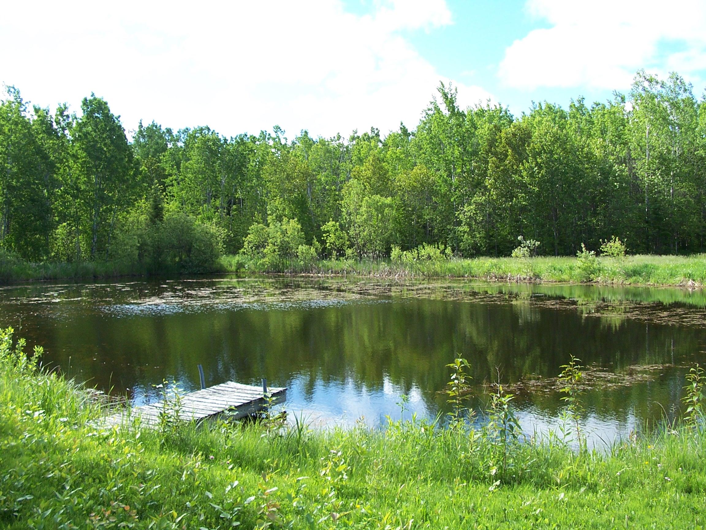 13997 Goebel Road Cheboygan, MI 49721 - Photo 37 of 54 Gallery Image 37