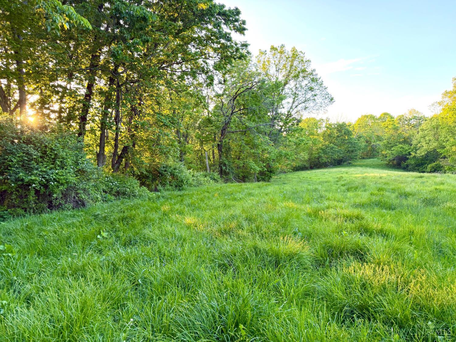 0 Maynard Road Ripley, OH 45167 - Photo 22 of 99