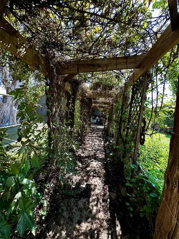 a view of a backyard with large trees