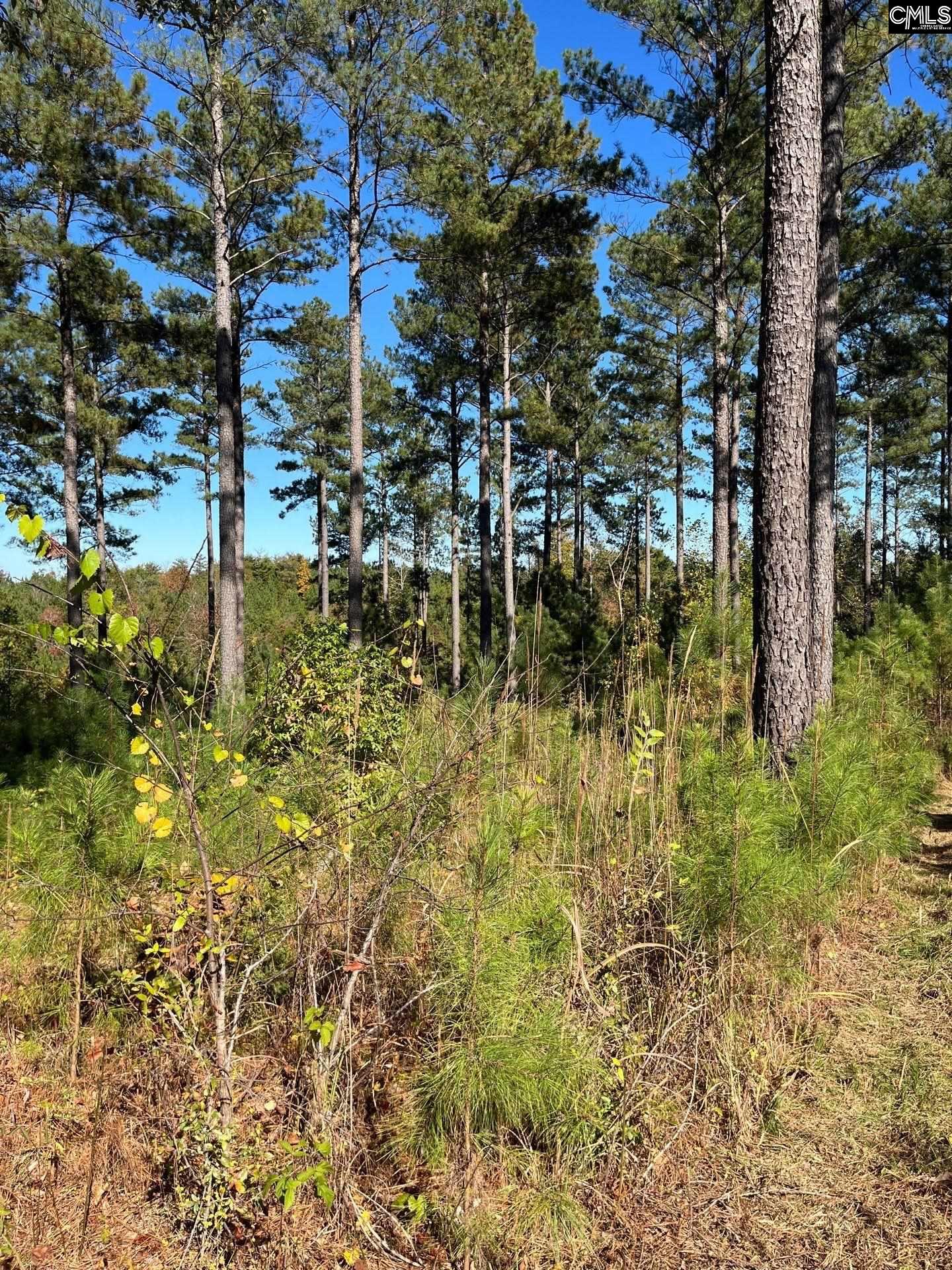 3 Dawkins Road, Unit DRF 3 Whitmire, SC 29178 - Photo 3 of 38