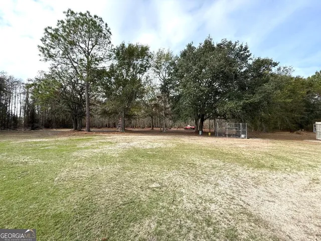 a view of yard with trees