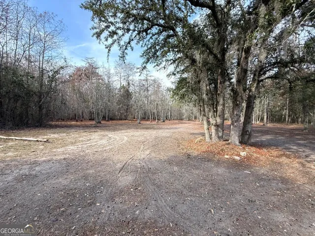 a view of backyard with large trees