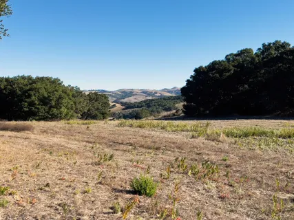$750,000 | 7 Holding Field Run, Carmel, CA 93923