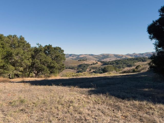 a view of a yard with wooden fence