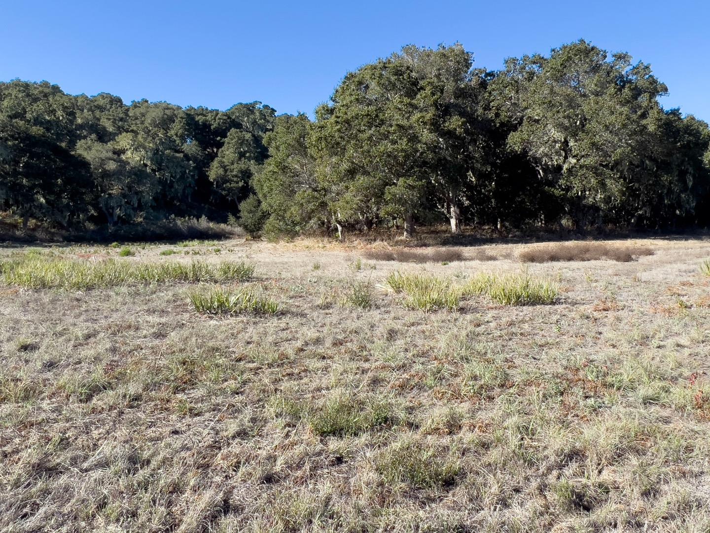 7 Holding Field Run Carmel, CA 93923 - Photo 3 of 11