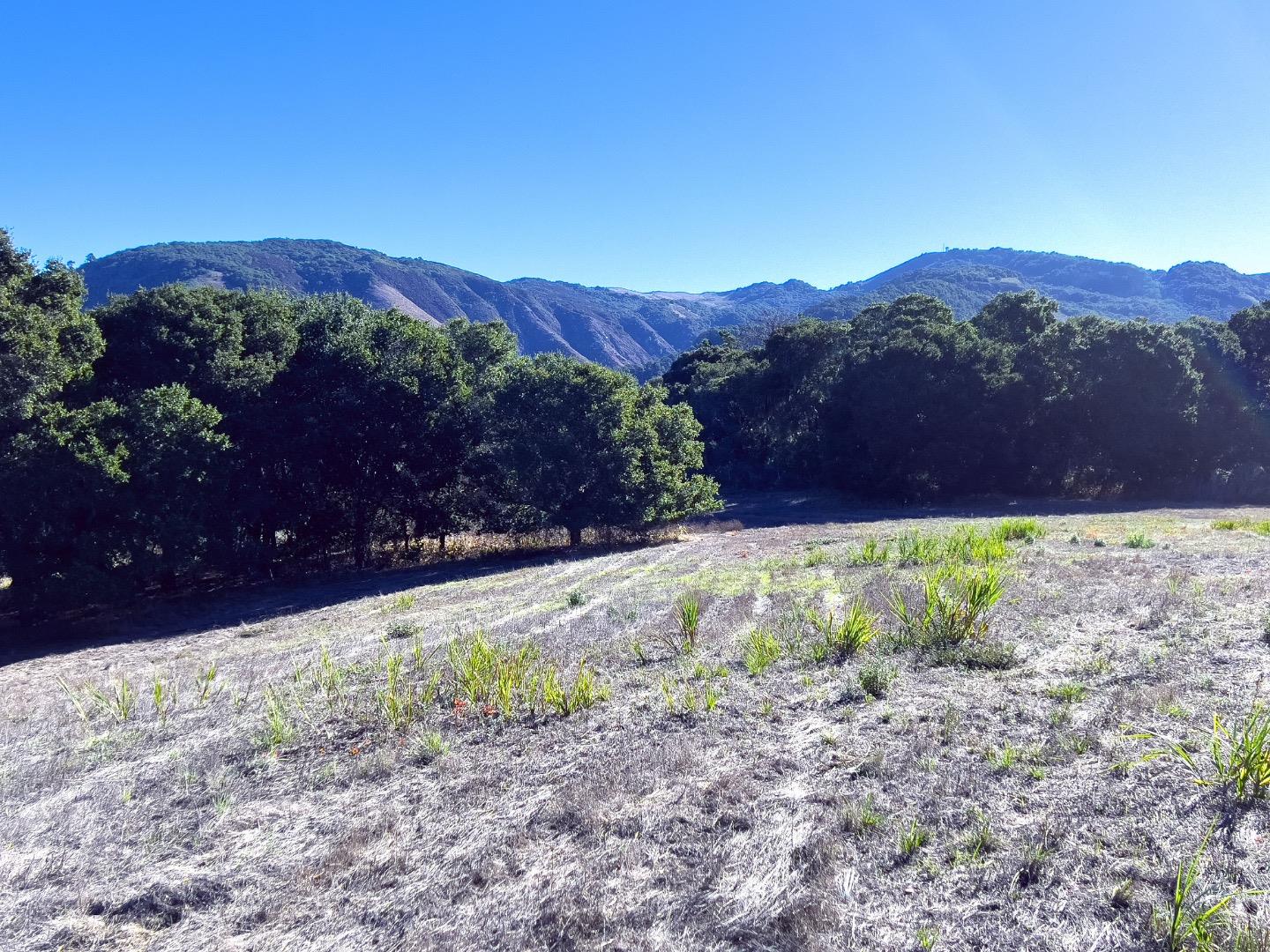 7 Holding Field Run Carmel, CA 93923 - Photo 7 of 11