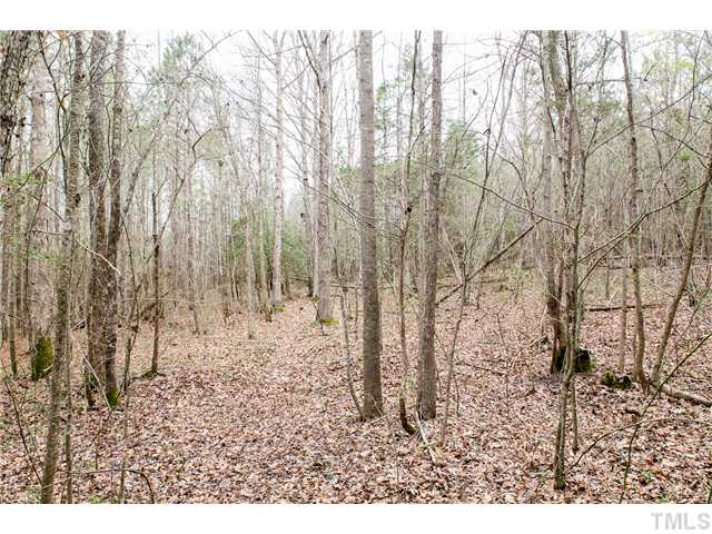 439 Justice Lane Spring Hope, NC 27882 - Photo 23 of 25 Gallery Image 23