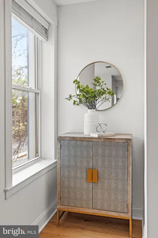 a view of potted plant in front of a window