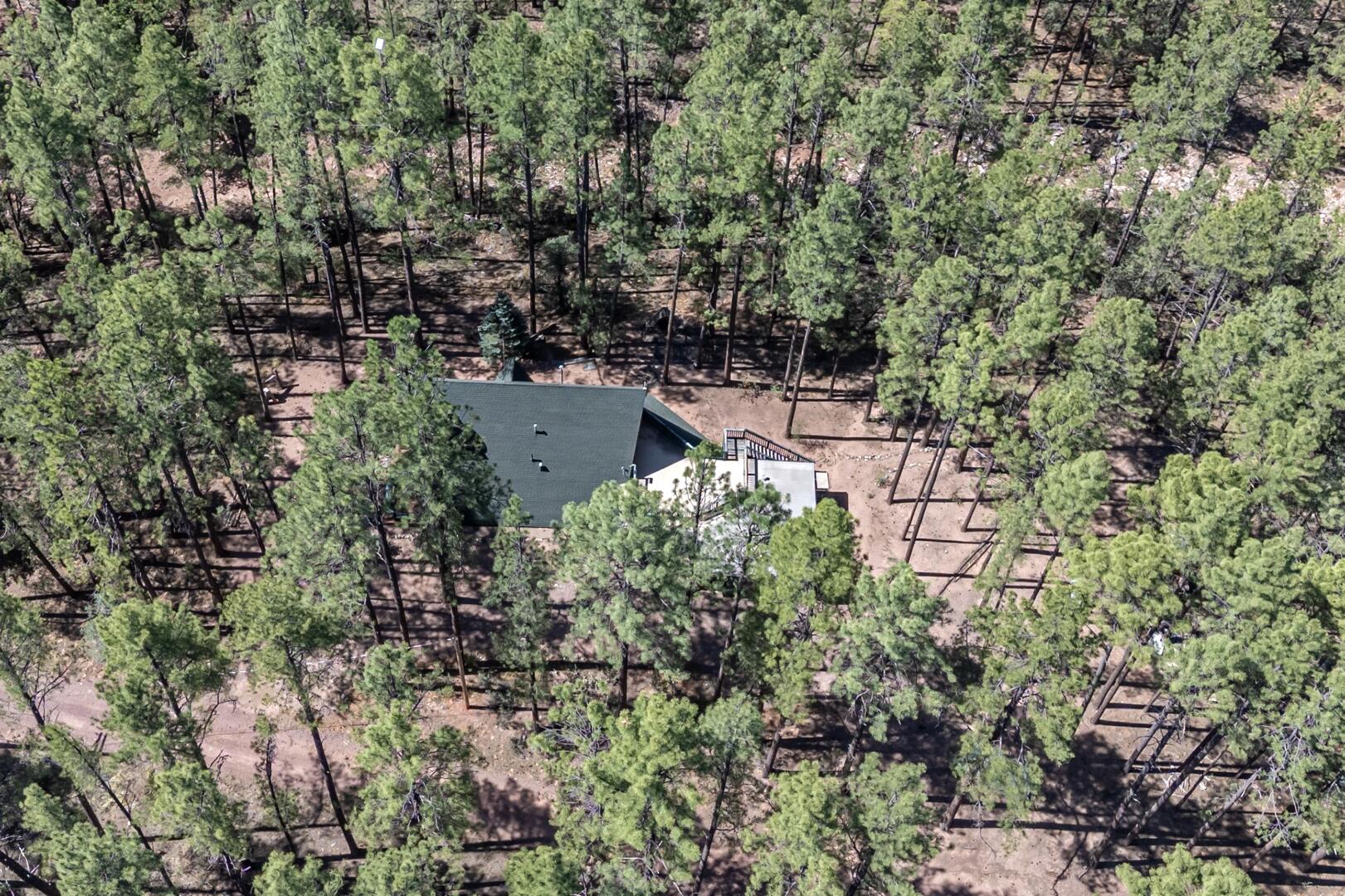 183 West Raven Road Payson, AZ 85541 - Photo 53 of 70 IMG_ 41