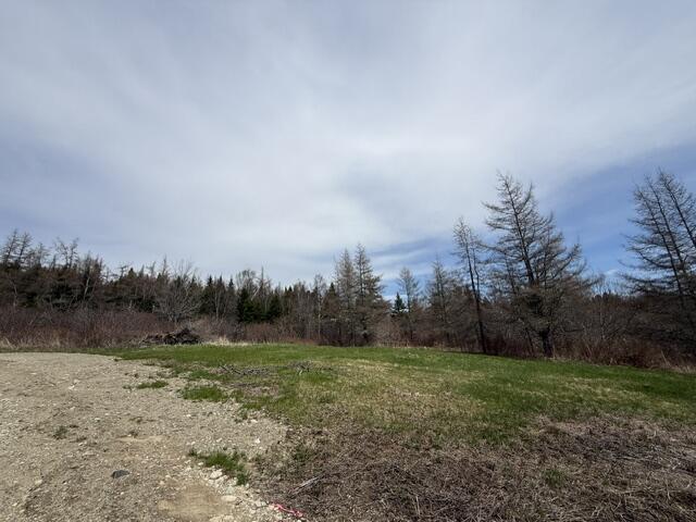 Lot 4 Holmes Bay Farms Road Whiting, ME 04691 - Photo 3 of 18 IMG_9113 (1)