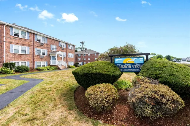 a view of a garden with lawn chairs