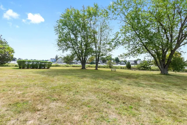 a view of outdoor space with trees all around