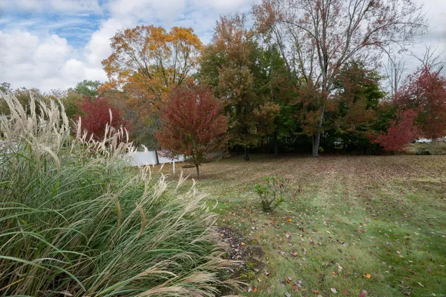 a view of a yard with plants and trees