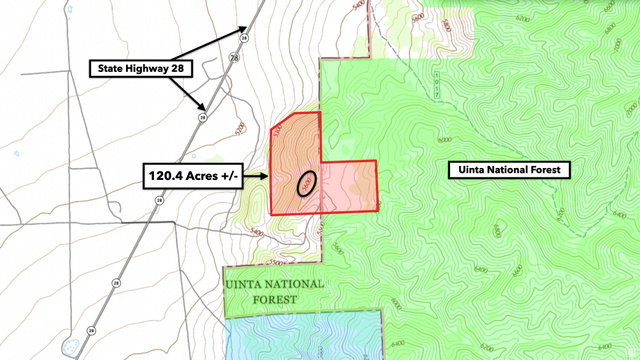 0 County Road 28 Levan, UT 84639 - Photo 13 of 207