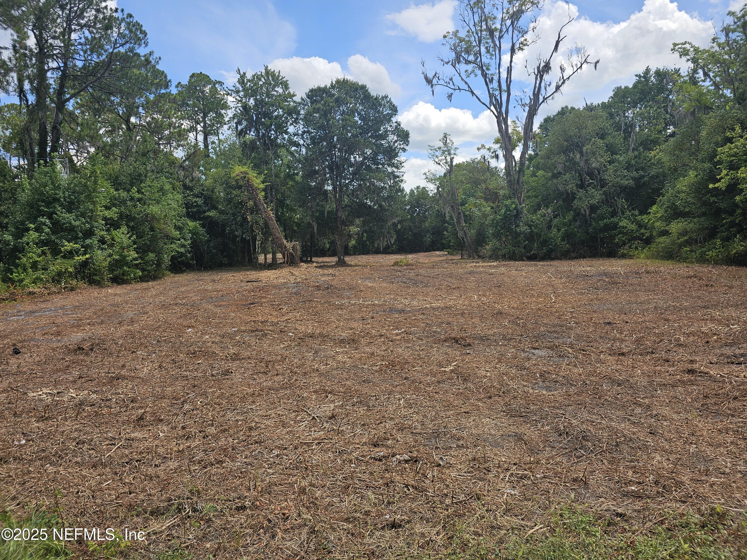 0 Highway 90 Jacksonville, FL 32234 - Photo 2 of 10 a backyard of a house with lots of green space