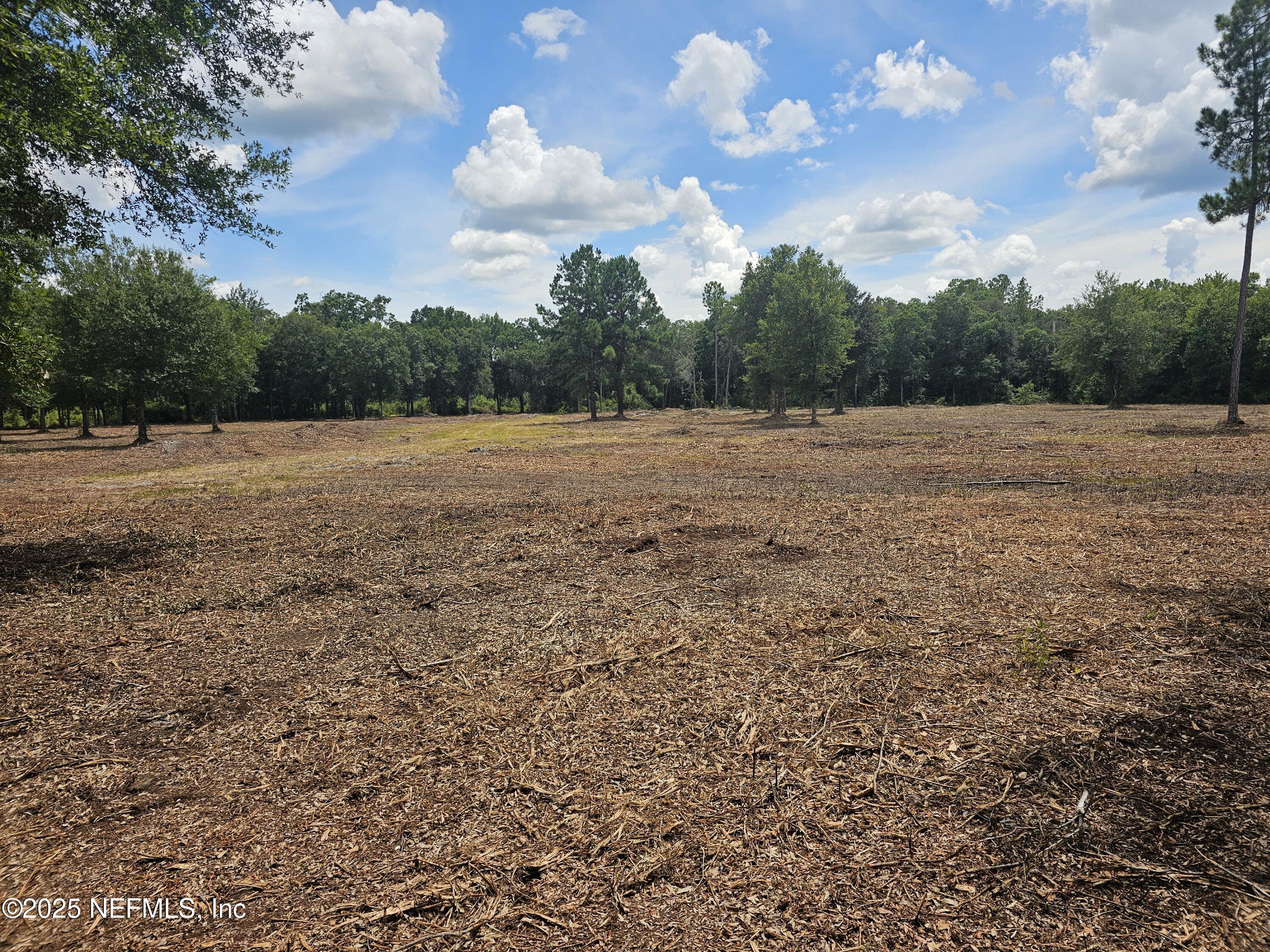 0 Highway 90 Jacksonville, FL 32234 - Photo 3 of 10 a view of an outdoor space and a yard