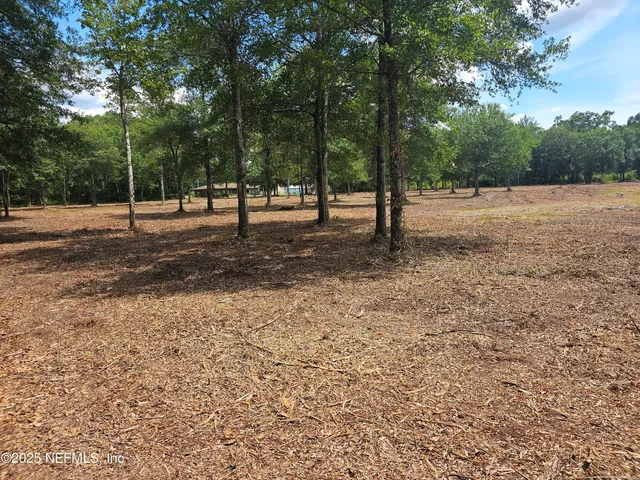 a view of outdoor space with trees