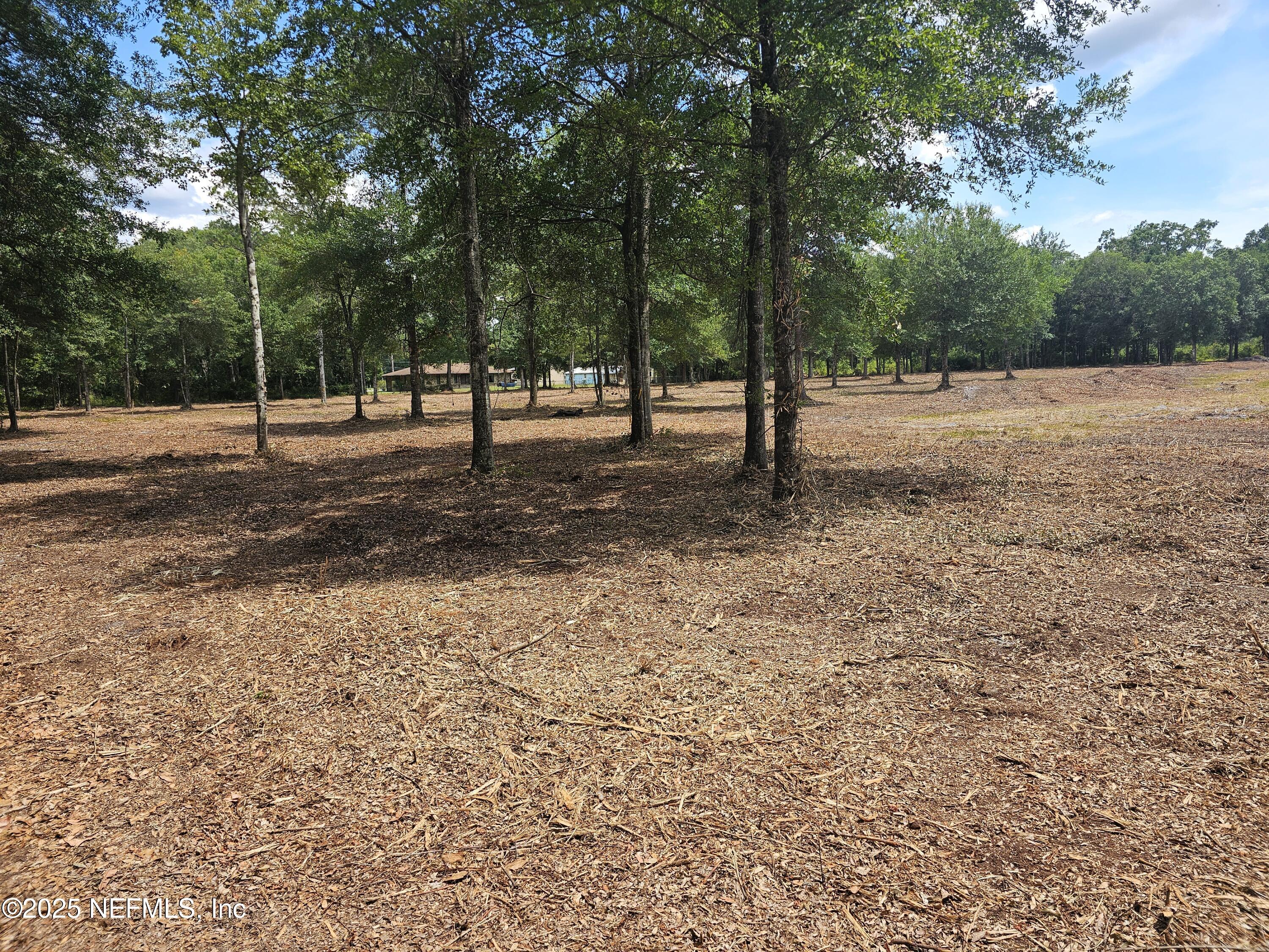 0 Highway 90 Jacksonville, FL 32234 - Photo 4 of 10 a view of outdoor space with trees